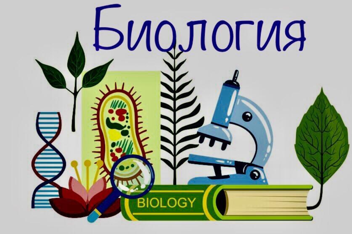 Биология.